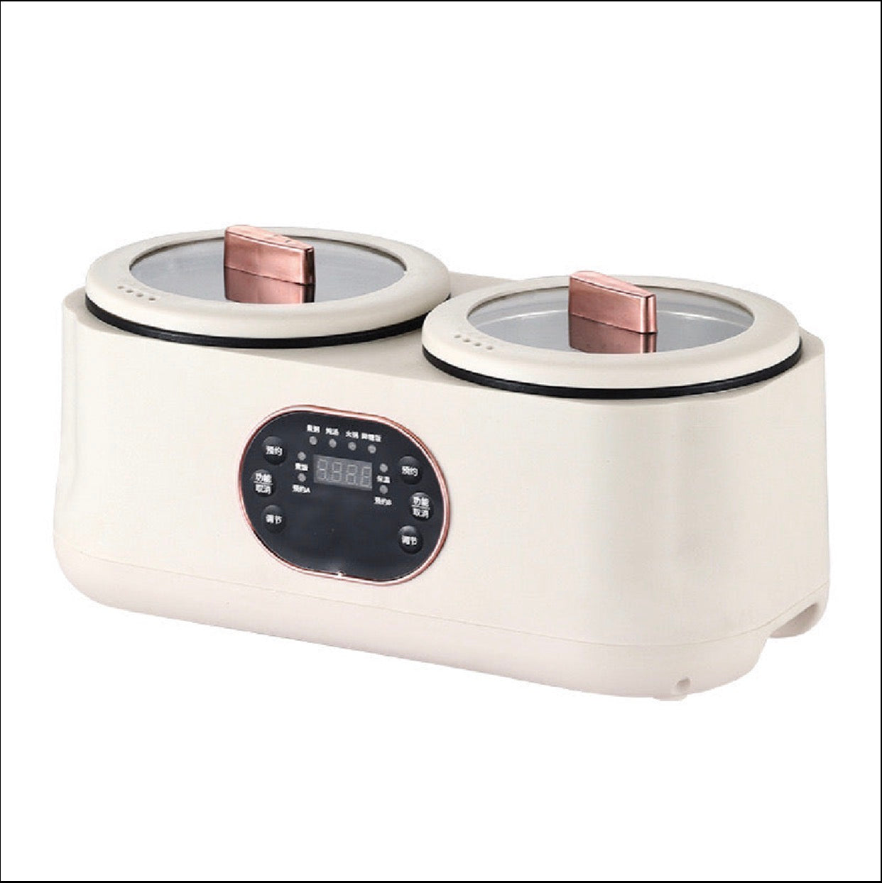 2in1 ELECTRIC COOKING POT