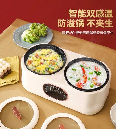 2in1 ELECTRIC COOKING POT