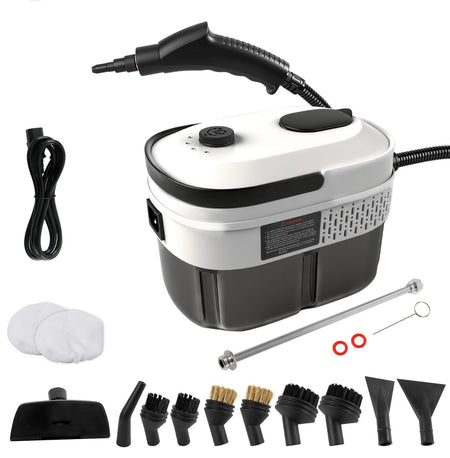 Portable steam cleaner