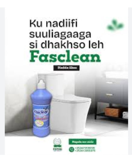 FASCLEAN (TOILET)
